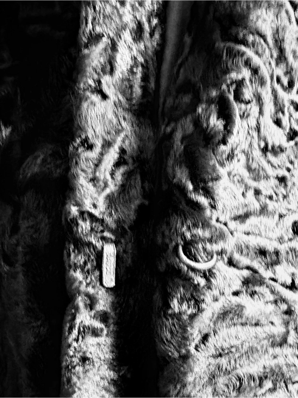 Black Persian Lamb Dress Coat trimmed in Black Mink